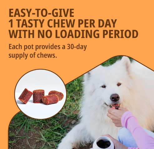 Virbac MOVOFLEX Joint Supplement for Large Dogs of (Above 35 kg)|| (30 Chews)