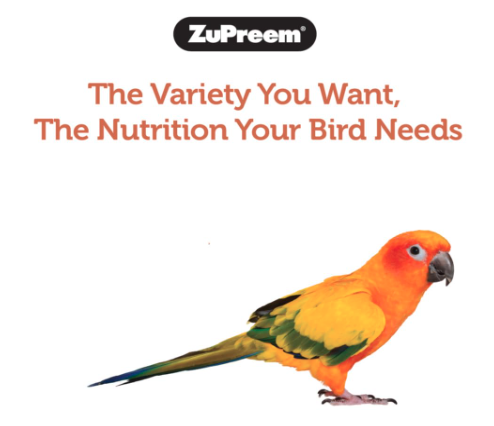 ZuPreem NutBlend Flavor with Natural Nut Flavour Medium Bird Food 907-gm