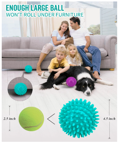 ZOOOP Spiked Squeaky Chew Ball for Dogs & Puppies | Color May Vary