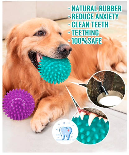 ZOOOP Spiked Squeaky Chew Ball for Dogs & Puppies | Color May Vary