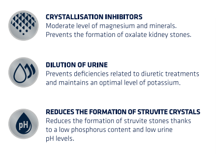 Advance Urinary Cat 400gm
