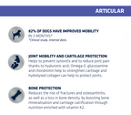 Advance Articular 3kg