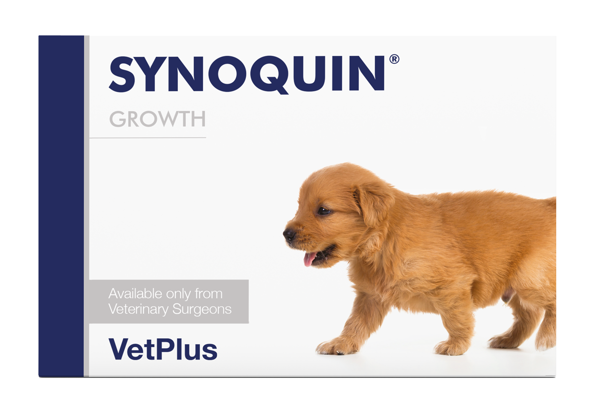 Vetplus Nutraceutical Supplement Synoquin Growth (60 Tablets)