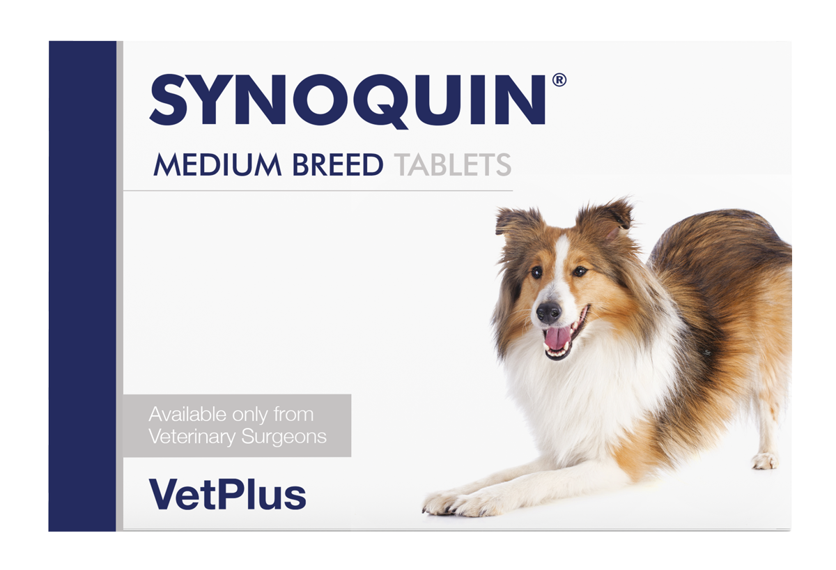 VetPlus SYNOQUIN Medium Breed Adult Dog Supplement Tablets - 30 Tablets