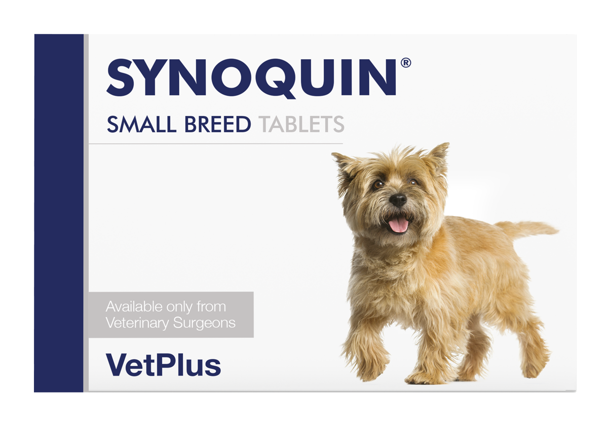 VetPlus SYNOQUIN® Capsules for Healthy Cartilage and Supports Mobility in Dogs
