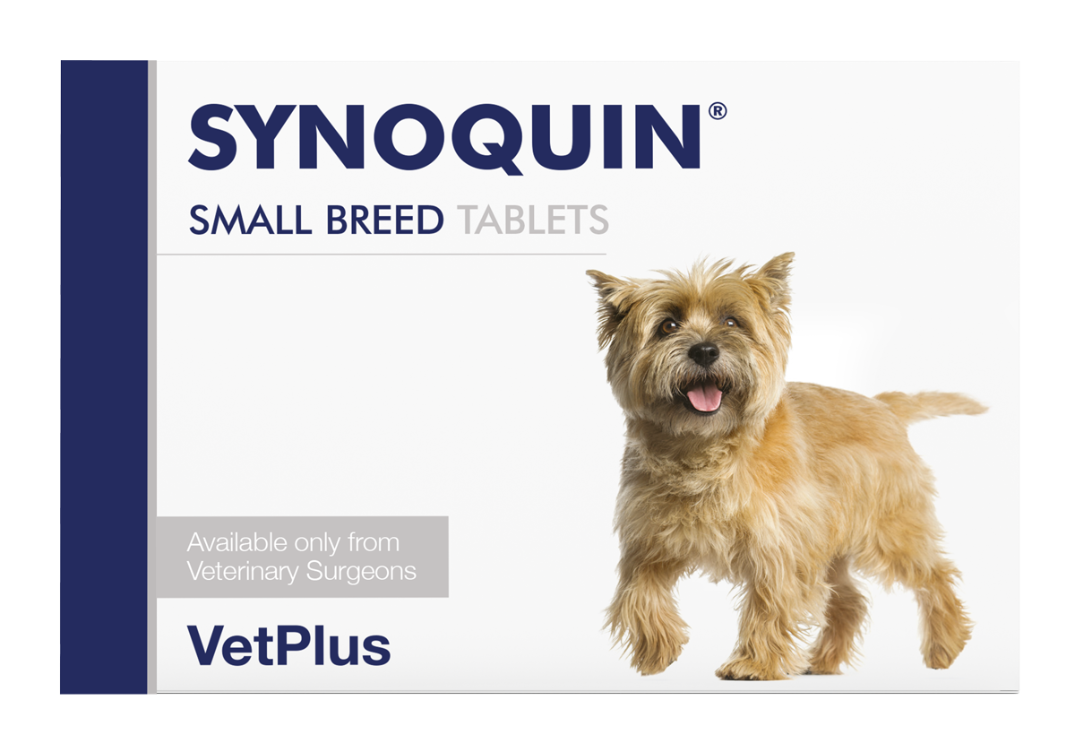 VetPlus SYNOQUIN Small Breed Adult Dog Supplement Tablets - 30 Tablets